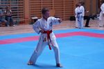 Karate Landesmeisterschaft 2487065