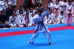 Karate Landesmeisterschaft 2487066