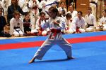 Karate Landesmeisterschaft 2487067