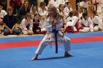 Karate Landesmeisterschaft 2487068