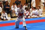 Karate Landesmeisterschaft 2487069