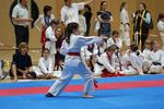 Karate Landesmeisterschaft 2487070