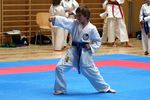 Karate Landesmeisterschaft 2487071