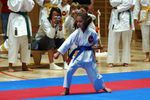 Karate Landesmeisterschaft 2487072