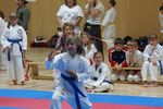 Karate Landesmeisterschaft 2487073