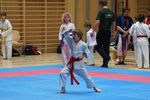 Karate Landesmeisterschaft 2487074