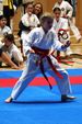 Karate Landesmeisterschaft 2487075