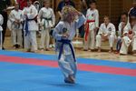 Karate Landesmeisterschaft 2487077