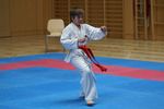 Karate Landesmeisterschaft 2487079