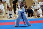 Karate Landesmeisterschaft 2487080