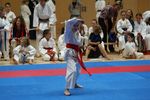 Karate Landesmeisterschaft 2487082