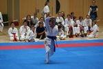 Karate Landesmeisterschaft 2487083