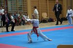 Karate Landesmeisterschaft 2487088