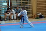 Karate Landesmeisterschaft 2487090