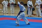 Karate Landesmeisterschaft 2487092