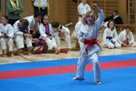 Karate Landesmeisterschaft 2487094