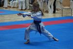 Karate Landesmeisterschaft 2487095