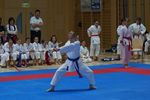 Karate Landesmeisterschaft 2487101