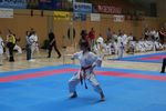 Karate Landesmeisterschaft 2487103