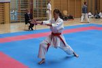 Karate Landesmeisterschaft 2487107