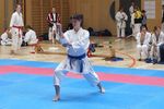 Karate Landesmeisterschaft 2487108