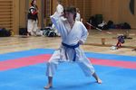 Karate Landesmeisterschaft 2487110