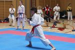 Karate Landesmeisterschaft 2487113