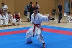 Karate Landesmeisterschaft 2487121