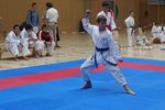 Karate Landesmeisterschaft 2487122