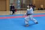 Karate Landesmeisterschaft 2487125