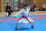 Karate Landesmeisterschaft 2487126