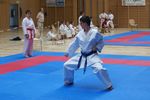 Karate Landesmeisterschaft 2487128