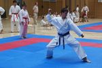 Karate Landesmeisterschaft 2487130