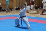 Karate Landesmeisterschaft 2487131