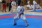 Karate Landesmeisterschaft 2487132