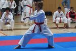 Karate Landesmeisterschaft 2487135