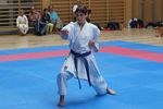 Karate Landesmeisterschaft 2487137