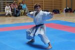 Karate Landesmeisterschaft 2487139