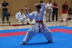 Karate Landesmeisterschaft 2487140