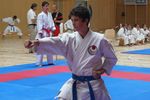 Karate Landesmeisterschaft 2487142