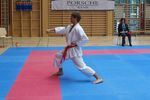 Karate Landesmeisterschaft 2487147