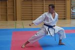 Karate Landesmeisterschaft 2487151