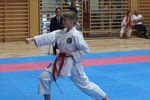 Karate Landesmeisterschaft 2487157