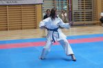 Karate Landesmeisterschaft 2487160