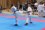 Karate Landesmeisterschaft 2487182