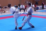 Karate Landesmeisterschaft 2487186