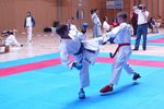 Karate Landesmeisterschaft 2487187