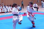 Karate Landesmeisterschaft 2487188