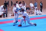 Karate Landesmeisterschaft 2487192