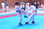 Karate Landesmeisterschaft 2487193